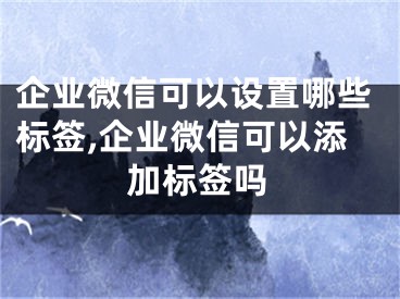 企业微信可以设置哪些标签,企业微信可以添加标签吗