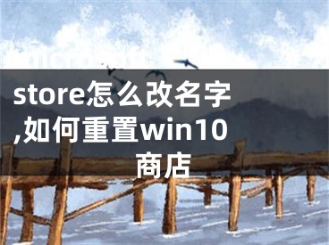 microsoft store怎么改名字,如何重置win10商店