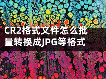 CR2格式文件怎么批量转换成JPG等格式