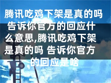 腾讯吃鸡下架是真的吗 告诉你官方的回应什么意思,腾讯吃鸡下架是真的吗 告诉你官方的回应是啥