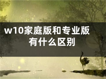 w10家庭版和专业版有什么区别