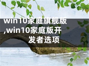 win10家庭旗舰版,win10家庭版开发者选项