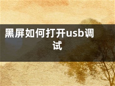 黑屏如何打开usb调试