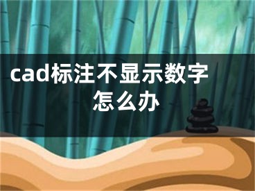 cad标注不显示数字怎么办