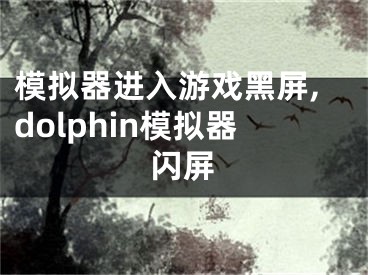 模拟器进入游戏黑屏,dolphin模拟器闪屏