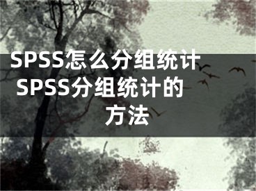 SPSS怎么分组统计 SPSS分组统计的方法