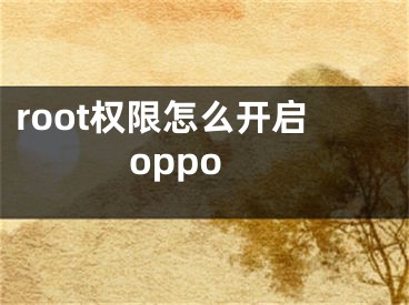 root权限怎么开启oppo