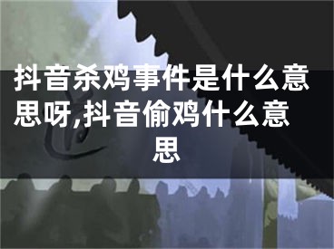 抖音杀鸡事件是什么意思呀,抖音偷鸡什么意思