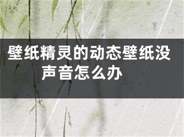 壁纸精灵的动态壁纸没声音怎么办 