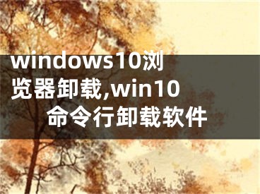 windows10浏览器卸载,win10命令行卸载软件