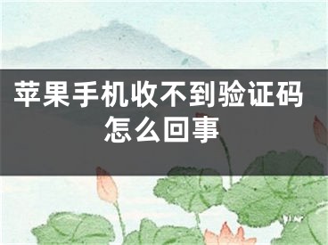 苹果手机收不到验证码怎么回事