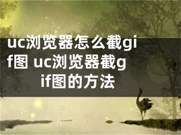 uc浏览器怎么截gif图 uc浏览器截gif图的方法