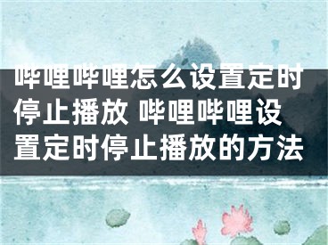 哔哩哔哩怎么设置定时停止播放 哔哩哔哩设置定时停止播放的方法