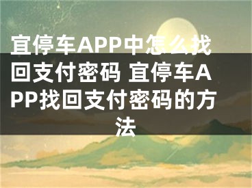 宜停车APP中怎么找回支付密码 宜停车APP找回支付密码的方法