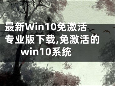 最新Win10免激活专业版下载,免激活的win10系统