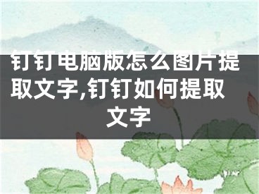 钉钉电脑版怎么图片提取文字,钉钉如何提取文字