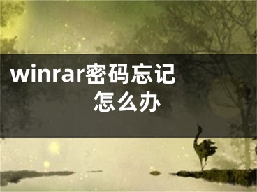 winrar密码忘记怎么办