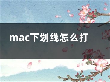 mac下划线怎么打