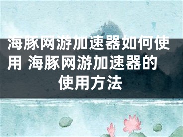 海豚网游加速器如何使用 海豚网游加速器的使用方法