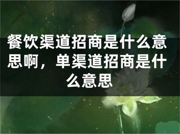 餐饮渠道招商是什么意思啊，单渠道招商是什么意思