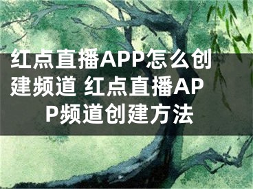 红点直播APP怎么创建频道 红点直播APP频道创建方法