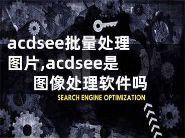 acdsee批量处理图片,acdsee是图像处理软件吗