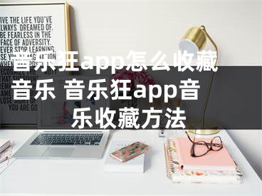 音乐狂app怎么收藏音乐 音乐狂app音乐收藏方法