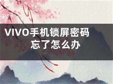 VIVO手机锁屏密码忘了怎么办