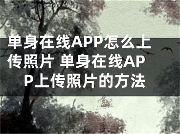 单身在线APP怎么上传照片 单身在线APP上传照片的方法