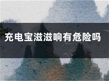 充电宝滋滋响有危险吗