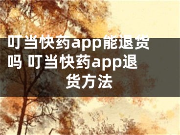 叮当快药app能退货吗 叮当快药app退货方法