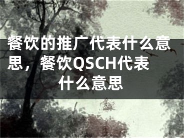 餐饮的推广代表什么意思，餐饮QSCH代表什么意思