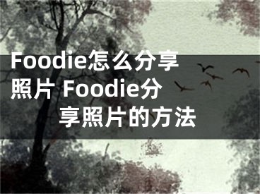 Foodie怎么分享照片 Foodie分享照片的方法