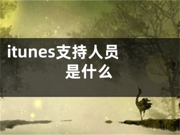 itunes支持人员是什么