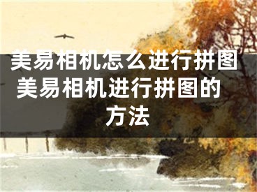 美易相机怎么进行拼图 美易相机进行拼图的方法