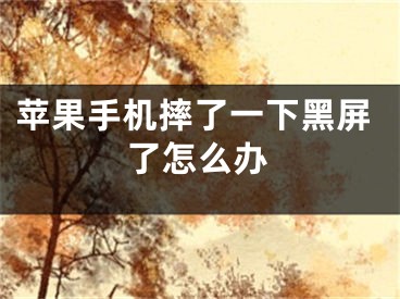 苹果手机摔了一下黑屏了怎么办