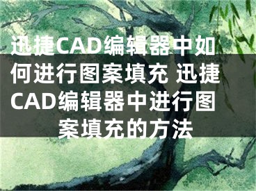 迅捷CAD编辑器中如何进行图案填充 迅捷CAD编辑器中进行图案填充的方法