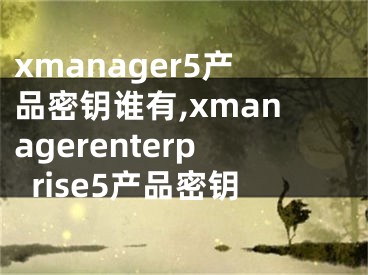 xmanager5产品密钥谁有,xmanagerenterprise5产品密钥