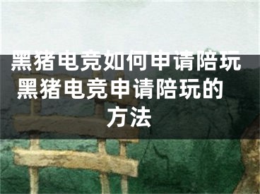 黑猪电竞如何申请陪玩 黑猪电竞申请陪玩的方法