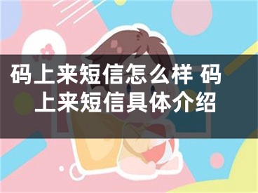 码上来短信怎么样 码上来短信具体介绍