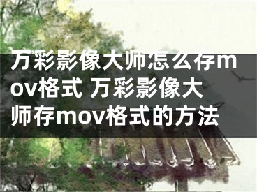 万彩影像大师怎么存mov格式 万彩影像大师存mov格式的方法