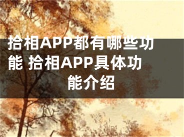 拾相APP都有哪些功能 拾相APP具体功能介绍