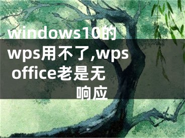 windows10的wps用不了,wps office老是无响应