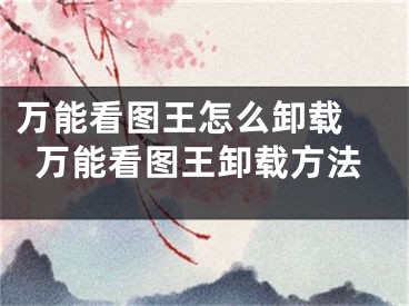 万能看图王怎么卸载 万能看图王卸载方法