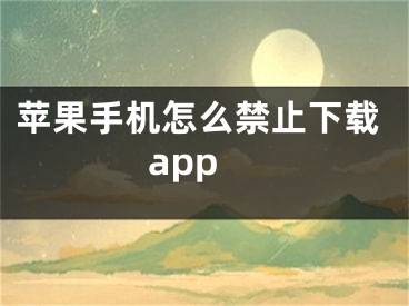 苹果手机怎么禁止下载app