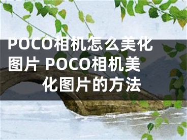 POCO相机怎么美化图片 POCO相机美化图片的方法