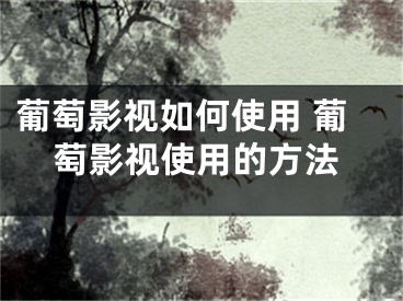 葡萄影视如何使用 葡萄影视使用的方法