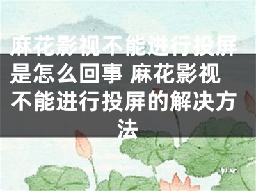 麻花影视不能进行投屏是怎么回事 麻花影视不能进行投屏的解决方法