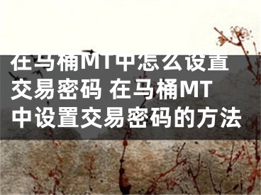 在马桶MT中怎么设置交易密码 在马桶MT中设置交易密码的方法