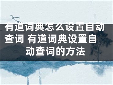 有道词典怎么设置自动查词 有道词典设置自动查词的方法